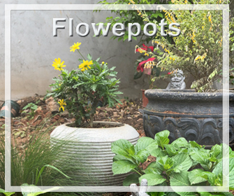 Pots de fleurs